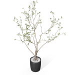 Plants collection 1015