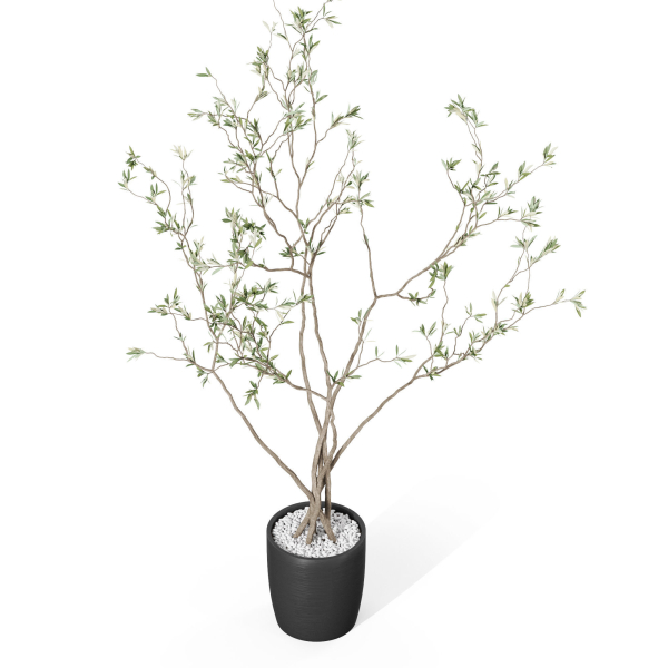 Plants collection 1015