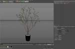 Plants collection 1015