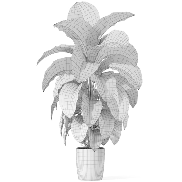 Plants collection 1016