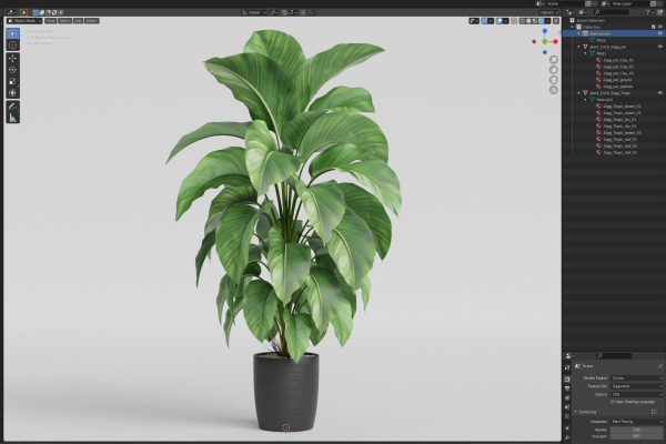 Plants collection 1016