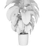 Plants collection 1016