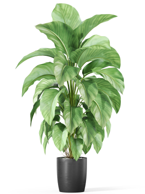 plants-collection-1016-3d-model-95c99efec4