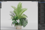 Plants collection 1017
