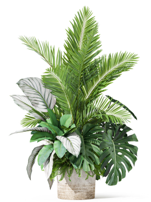 plants-collection-1017-3d-model-83d9d59e0e