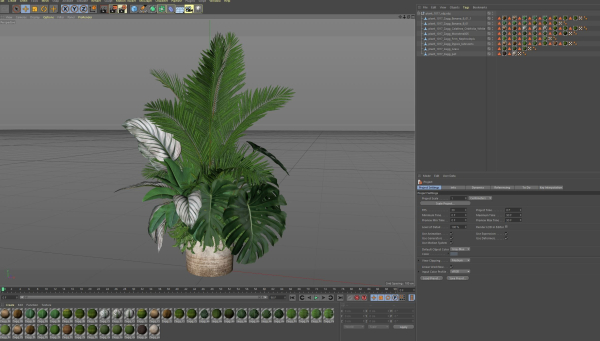 Plants collection 1017