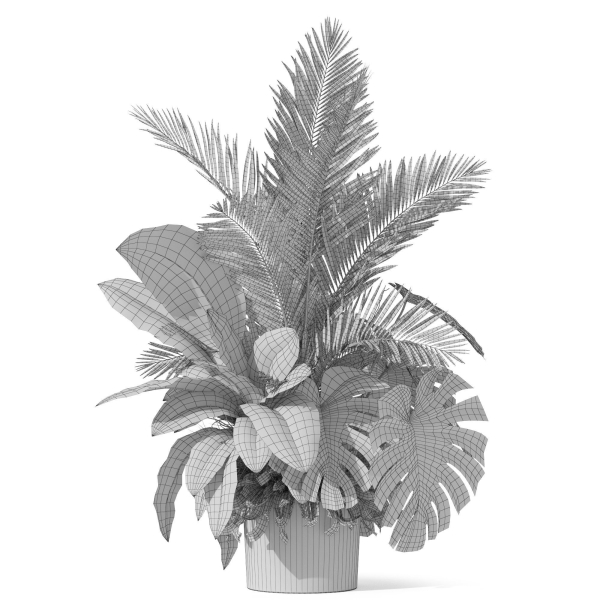 Plants collection 1017