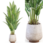 Plants collection 1018