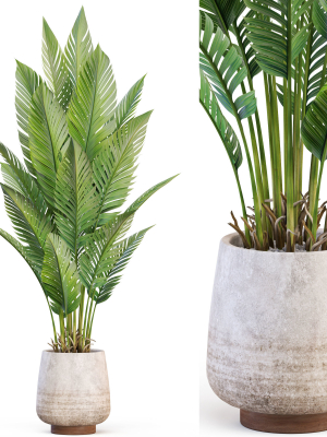 Plants collection 1018