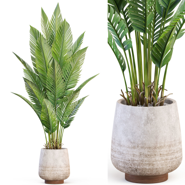 Plants collection 1018