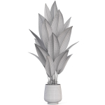 Plants collection 1018