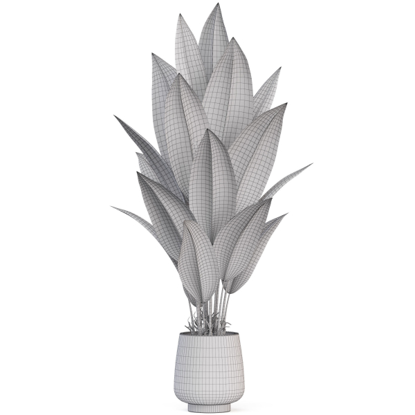 Plants collection 1018