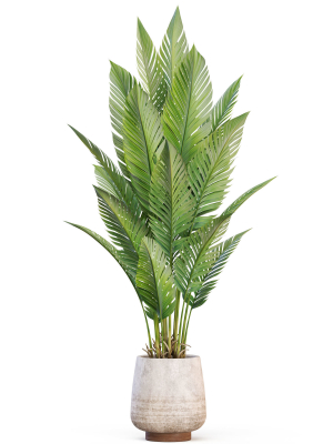 plants-collection-1018-3d-model-b779ce0b7e