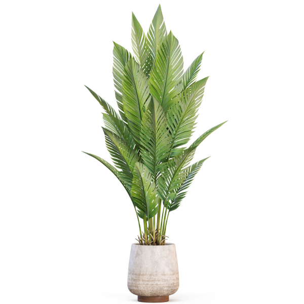 Plants collection 1018