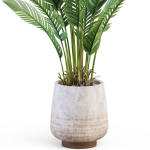 Plants collection 1018