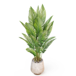 Plants collection 1018