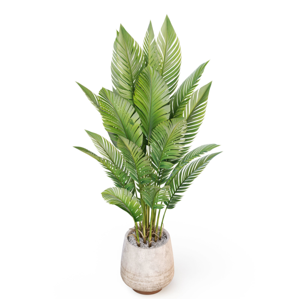 Plants collection 1018