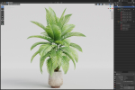 Plants collection 1019
