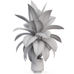 Plants collection 1019