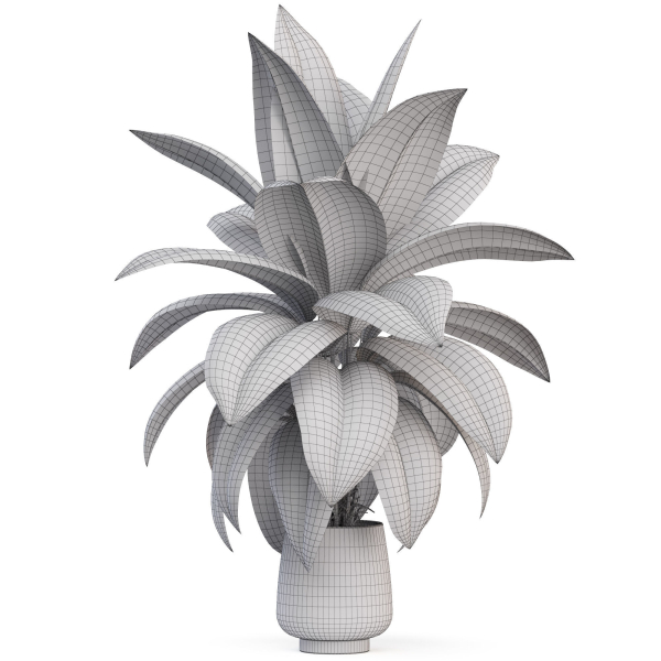 Plants collection 1019