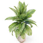 Plants collection 1019