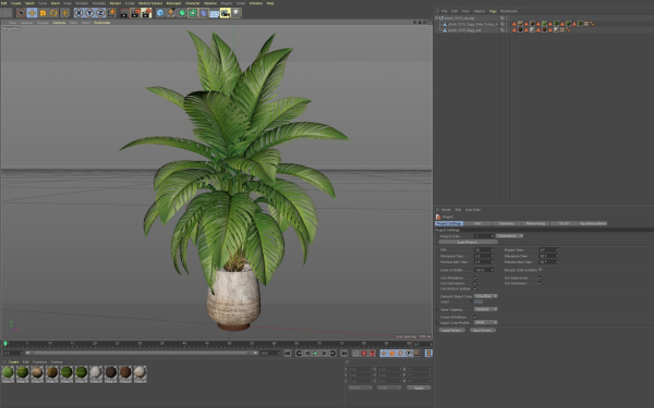Plants collection 1019