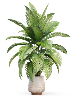 plants-collection-1019-3d-model-af3c60a48f
