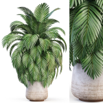 Plants collection 1020