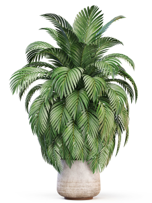 plants-collection-1020-3d-model-9f8da5f9ae