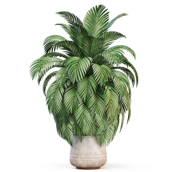 Plants collection 1020