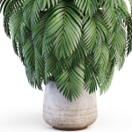 Plants collection 1020