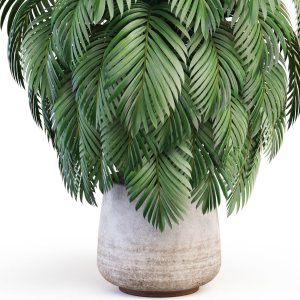 Plants collection 1020