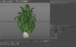 Plants collection 1020