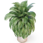 Plants collection 1020