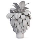 Plants collection 1020