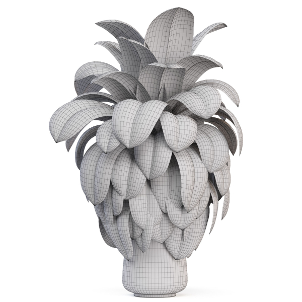 Plants collection 1020