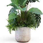 Plants collection 1021