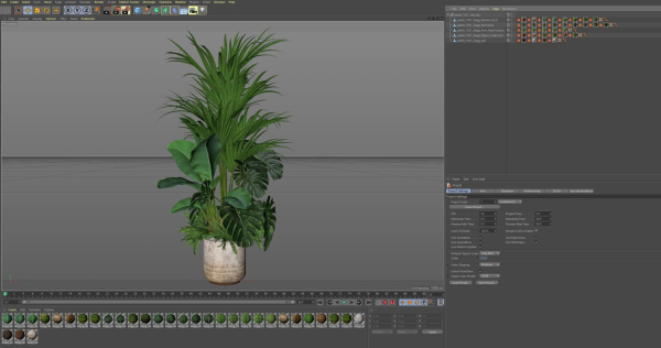 Plants collection 1021