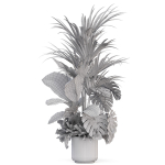 Plants collection 1021