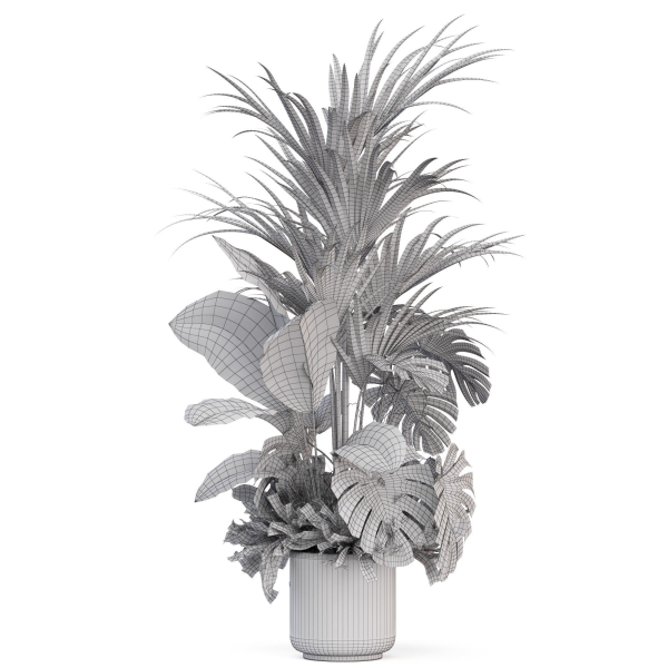 Plants collection 1021