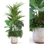 Plants collection 1021