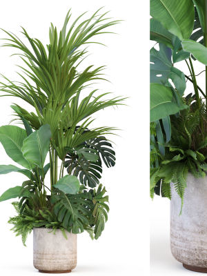 Plants collection 1021