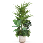 Plants collection 1021
