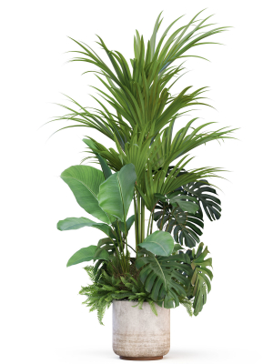 plants-collection-1021-3d-model-acb18611b1
