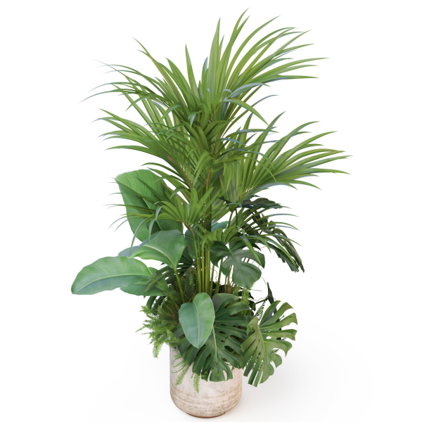 Plants collection 1021
