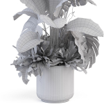 Plants collection 1021