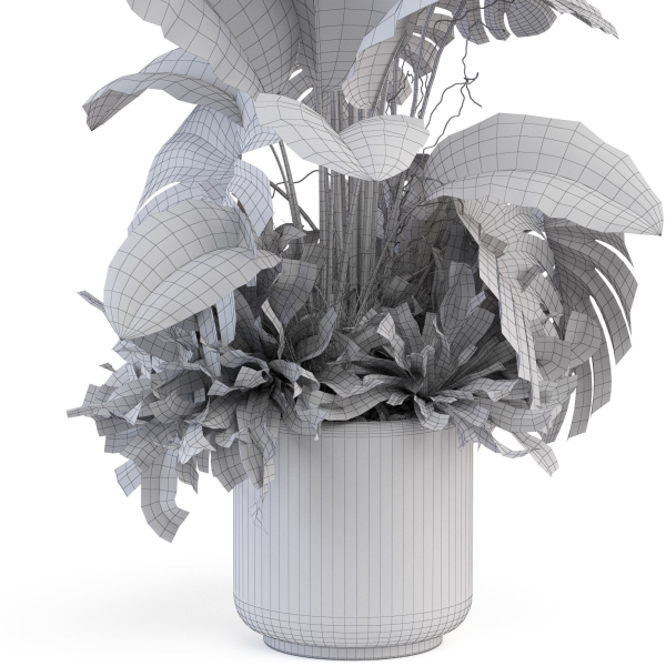 Plants collection 1021