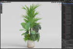 Plants collection 1021