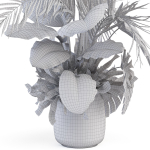 Plants collection 1022
