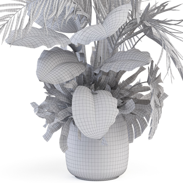 Plants collection 1022